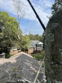 a tree is being removed from a tree in front of a house